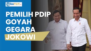 Loyalitas Pemilih PDIP Menurun pada Pemilu 2024 karena Faktor Jokowi dan Prabowo, Banteng Melemah?