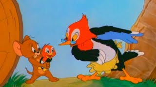 Download lagu Tom and Jerry - Hatch Up Your Troubles mp3 Download lagu Tom and Jerry - Hatch Up Your Troubles mp3