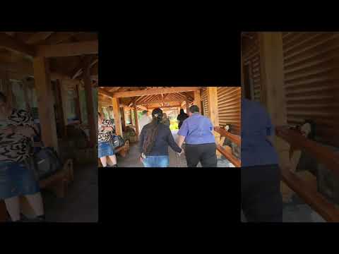 29-10-2026 SAN MARTIN DE LOS ANDES PROVINCIA DE NEUQUEN ARGENTINA 🔥♥️🙏🙌