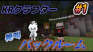 KRクラフターバックルーム実況＃1