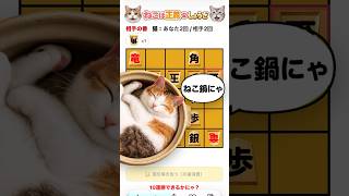 【自作ゲーム】将棋に猫を放つゲームを作ってみた！ #自作ゲーム #将棋 #猫