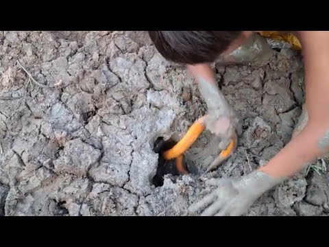 This boy is very good at catching eels in caves