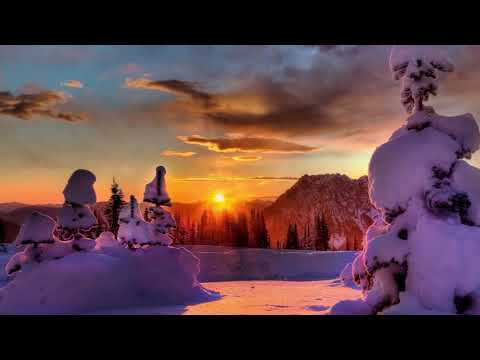 The Garden is Becoming a Robe Room (Michael Nyman / Steve Bingham).