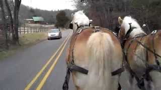 preview picture of video 'Driving home to the Dinner Bell Ranch.'