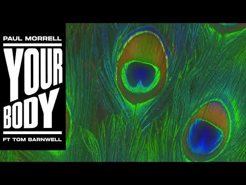 Paul Morrell - Your Body (feat.Tom Barnwell)