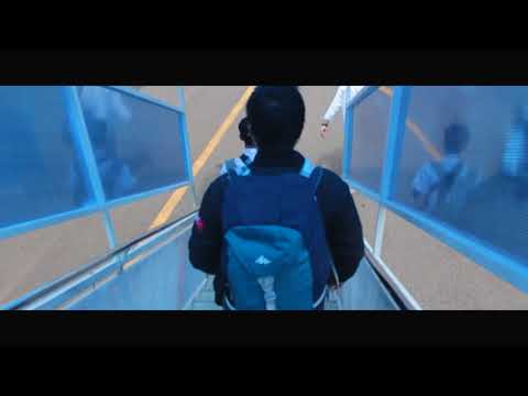 survei vid 1