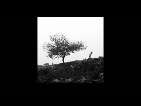 SAURON | El Último Árbol Sobre La Tierra [2012 / ALBUM COMPLETO]