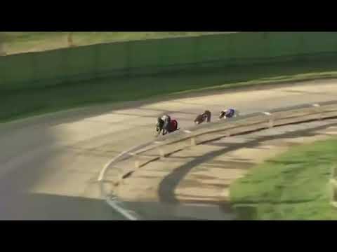 Signet Otis - Ladbrokes 480m