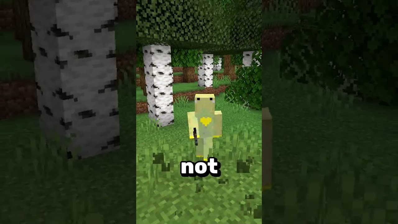 The LONGEST Hardcore World...