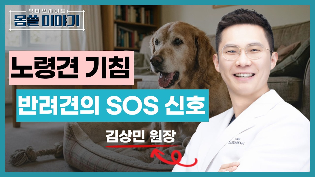 강아지 기침 산책 거부 이거 심장병 초기 증상입니다 [몸쓸이야기 16회]