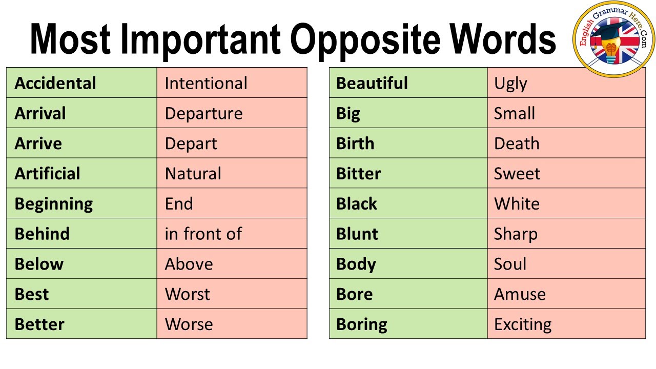 Most Important Opposite Words List