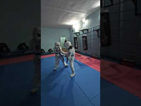 Удары с опережением в каратэ Шинкиокушинкай. Stopping punch karate shinkyokushin #karate #karatekids