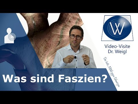 Jetzt ist die Zeit der Faszie ❗ Was sind Faszien & welche Aufgaben hat das Fasziengewebe? #1