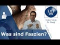 Jetzt Ist Die Zeit Der Faszie Was Sind Faszien Welche Aufgaben Hat Das Fasziengewebe 1