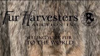 Fur Harvesters NWT Season 1 Episodes #7 HD