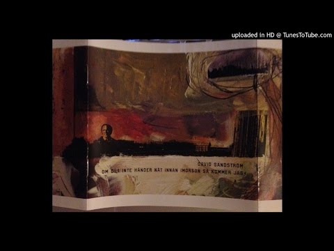 David Sandström - När hjärtat svider