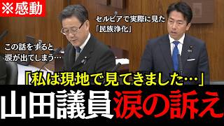 【涙の訴え】国民民主党山田議員が語る衝撃の事実！セルビアで実際に見た「民族浄化」について涙を流す　【国民民主党/山田吉彦/ 榛葉賀津也/小泉進次郎】