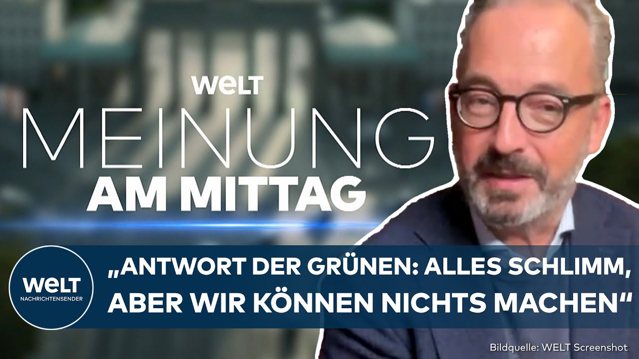 MIGRATIONSDEBATTE: "Jetzt machen die Grünen das, was immer geht..." – Jan Fleischhauer | MEINUNG