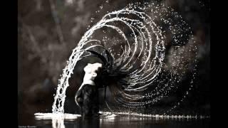 Milosh it&#39;s over