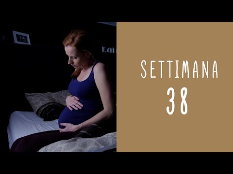Calendario della gravidanza - settimana 38