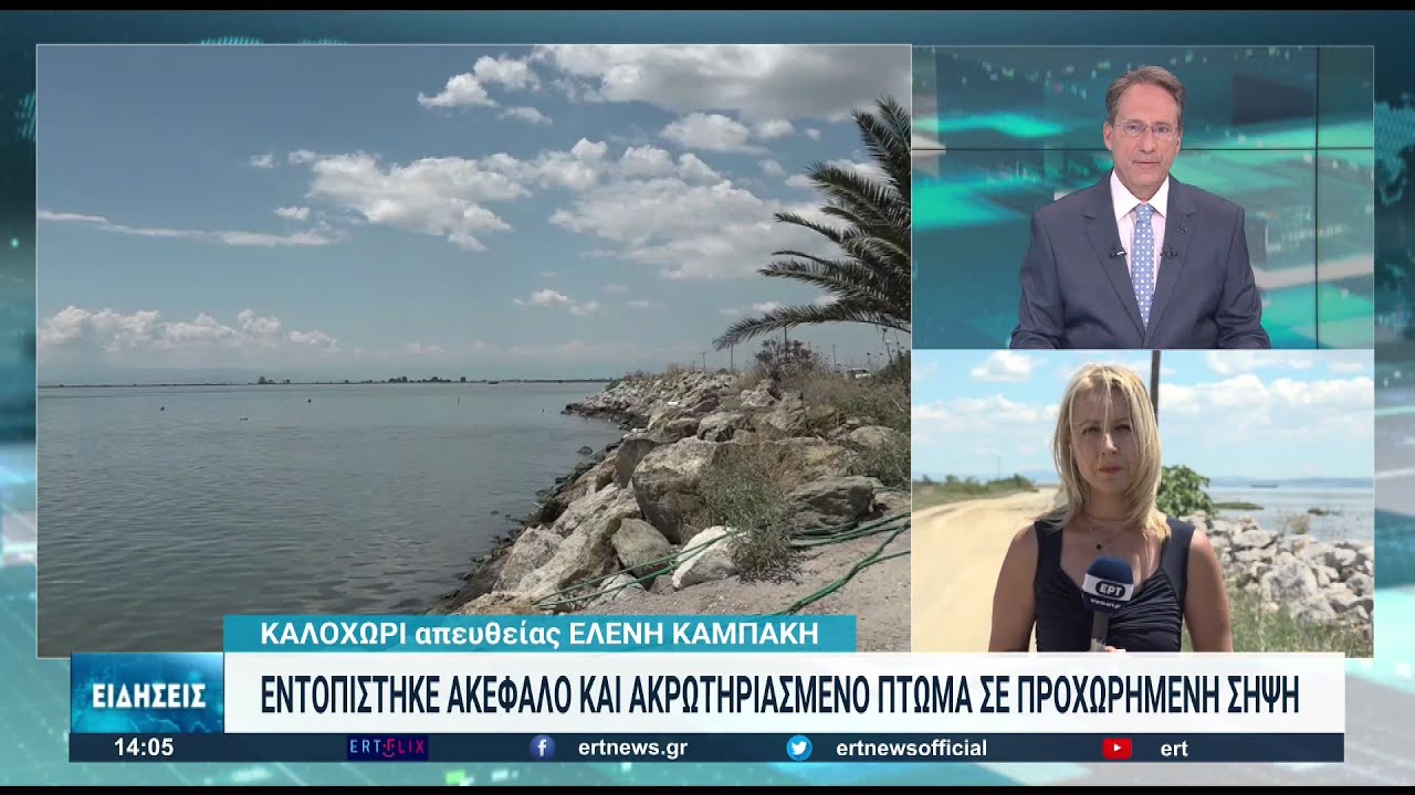Μυστήριο με ακέφαλο και ακρωτηριασμένο πτώμα στο Καλοχώρι Θεσσαλονίκης | 19/06/2022 | ΕΡΤ