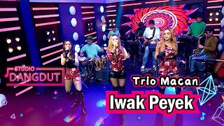 Download lagu Lagu Legend Banget, Jadi Flashback ! Trio Macan 'Iwak Peyek' | STUDIO DANGDUT mp3
