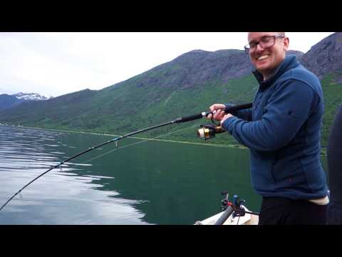 Sej Eventyr i Romsdalfjord, Norge 2015 – Coalfish on Speedjig in Romsdal Fjord
