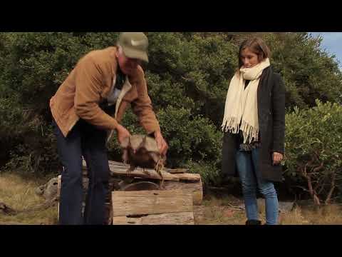 PGM 08 PERIPLO C OCEANICA BLQ 03 1