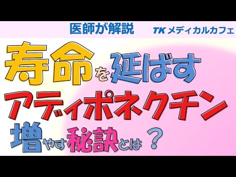 アディポネクチンについて詳しく解説