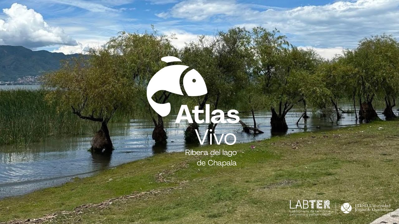 Lago de Chapala · vida ribereña