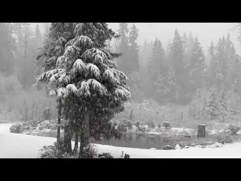 Ahmet Yurt Dede - Hasretin beni yakıyor