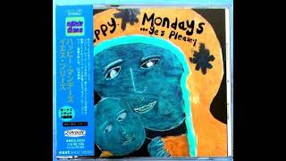 Happy Mondays - monkey in the family (instrumental Dub)