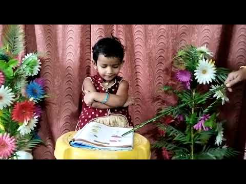 T.Deekshitha | Flowers | Rise Play School | Jagannaickpur, Kakinada.