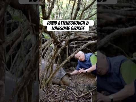 ¡Sir David Attenborough cumple 100 años hoy! #naturepbs #wildlife #davidattenborough #tortoise #animals