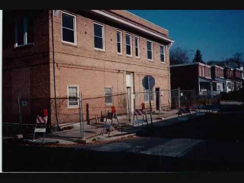 TheForceQ - Wins & Losses