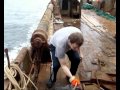 Работа в море 2009 