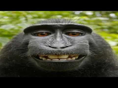 Founder di rewind city insulta pesantemente 4 ragazzini nel mio server discord