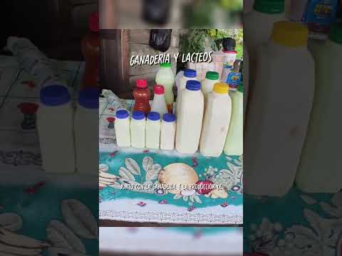 👇¿Cómo es la economía de CHOACHÍ? | Pueblos de Colombia | PuebloTrip