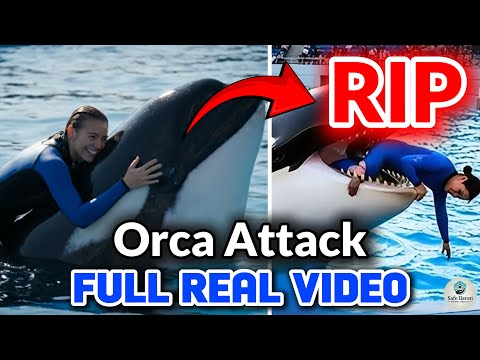 Jessica Radcliffe Orca Attack: Real or Fake? Full Story Revealed