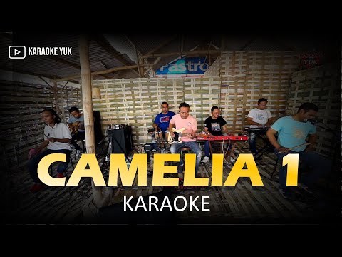 CAMELIA 1 KARAOKE NADA COWOK PRIA