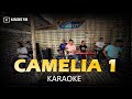 CAMELIA 1 KARAOKE NADA COWOK PRIA