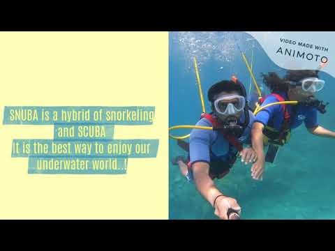 Our 1st SNUBA Experience in Maui, Hawaii