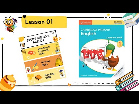 Cambridge Grade 1 English lesson 1 | Study Bee