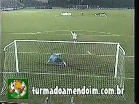 Torcida Palmeirense O Vídeo