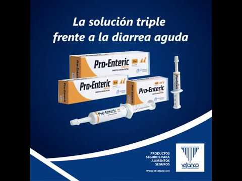 Tablet entero chronic sachet, for personal, packaging type: ...