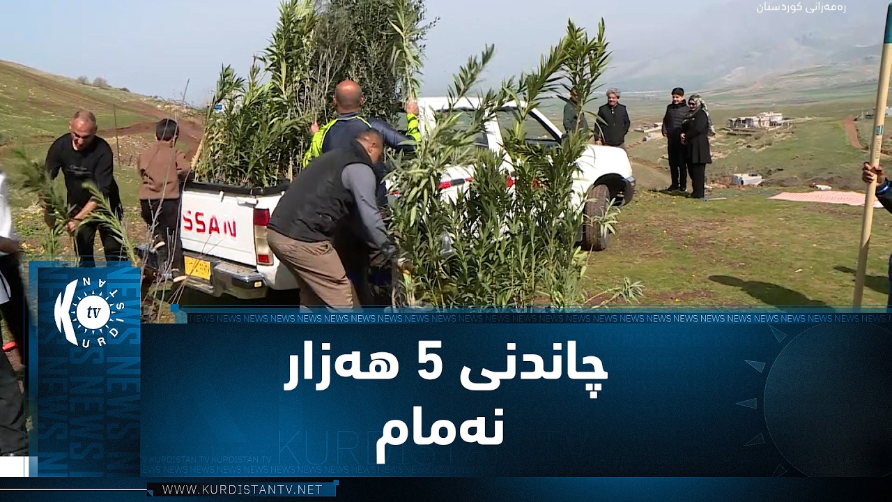 ڤیدیۆ | لە ساڵیادی لەدایکبوونی بارزانیی نەمر، چاندنی 5 هەزار نەمام لە سنووری شاری هەڵەبجە