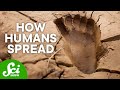 The Ancient Footprints that Changed The Timeline of Human History
