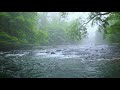 Green Forest River Flowing In Rainy Weather Nature Sounds Forest River White Noise For Sleeping