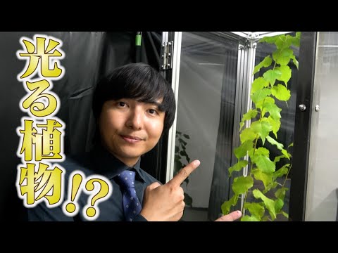 学部生のいない大学院大学の研究に迫ってみた【奈良先端大】