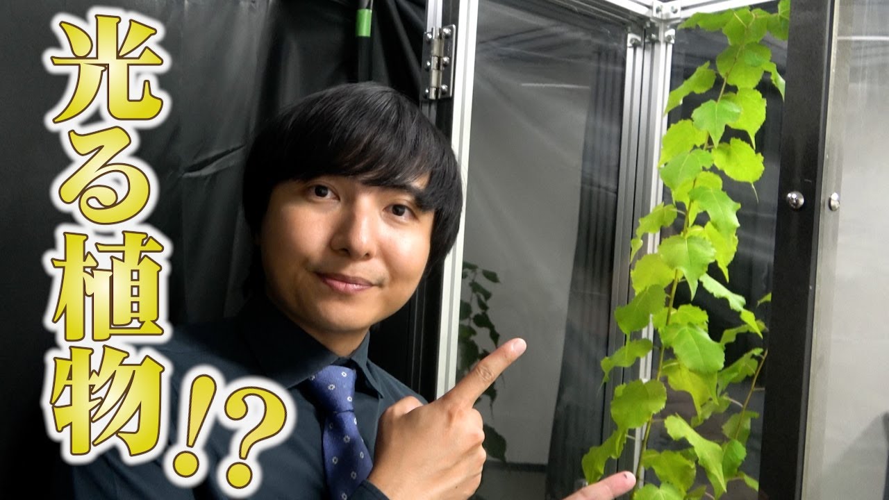 学部生のいない大学院大学の研究に迫ってみた【奈良先端大】